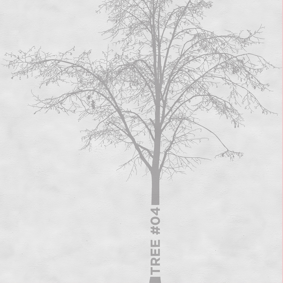 Produkt Tree des Herstellers Wall&decò anzeigen
