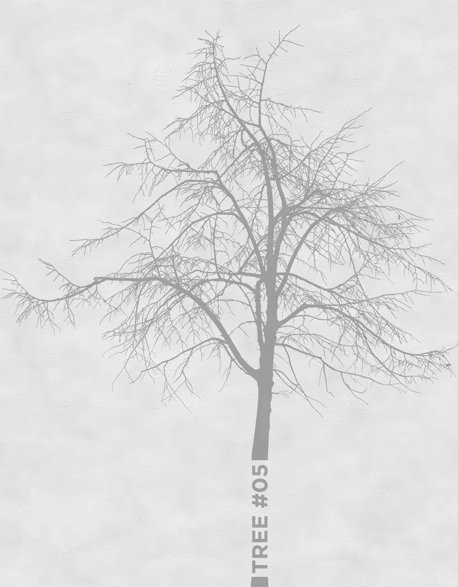 Wall&decò - Tree