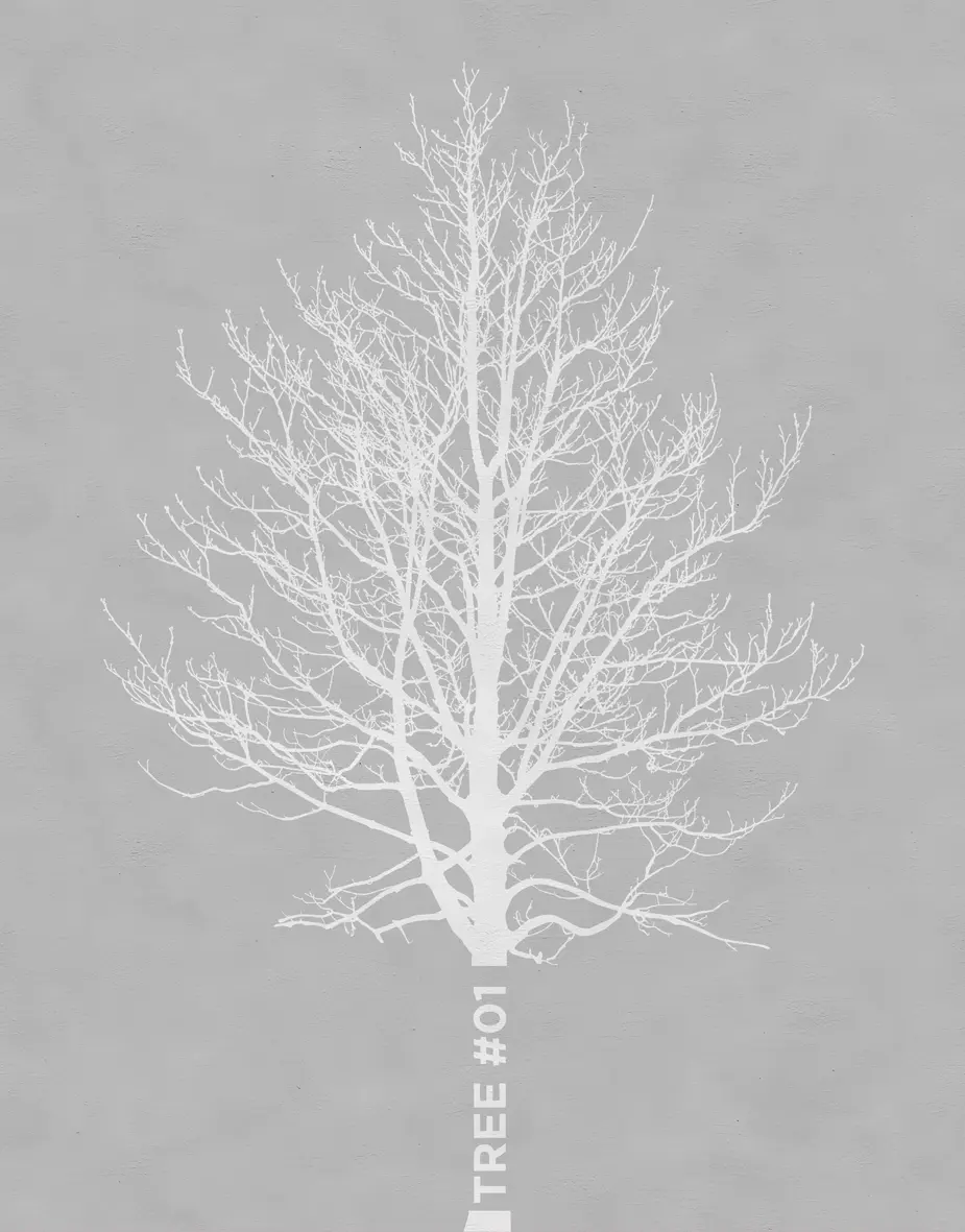 Wall&decò - Tree