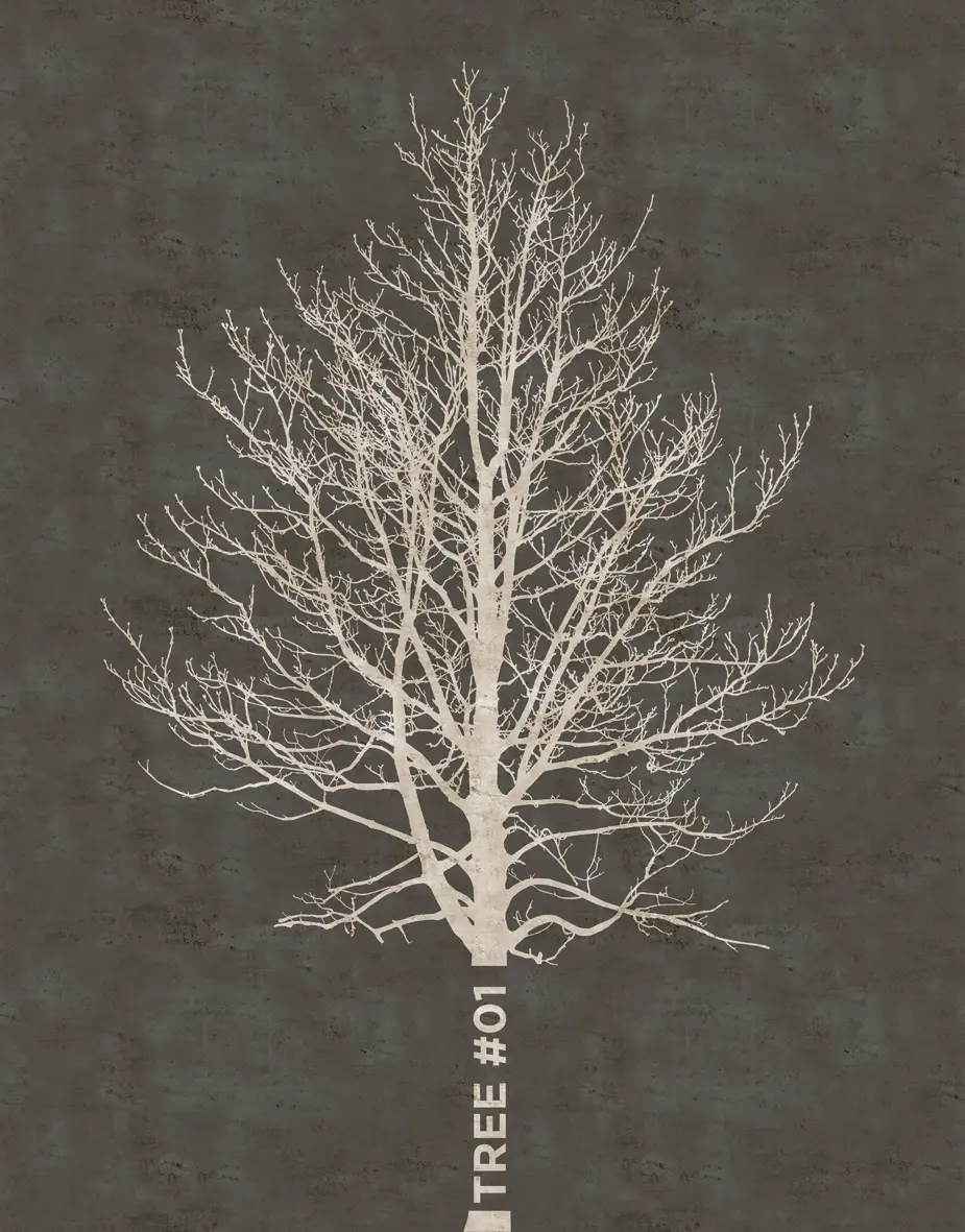 Wall&decò - Tree