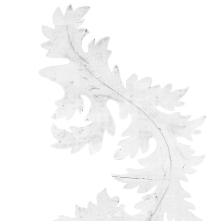 Akanthus