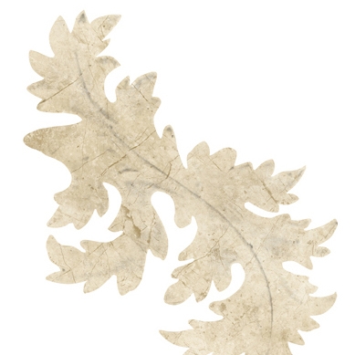 Display product Akanthus from manufacturer Wall&decò