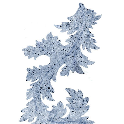 Display product Akanthus from manufacturer Wall&decò