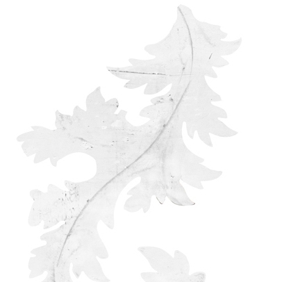 Akanthus