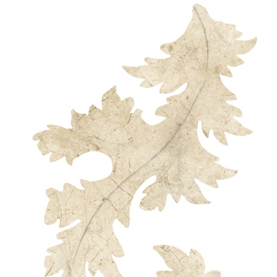 Display product Akanthus from manufacturer Wall&decò