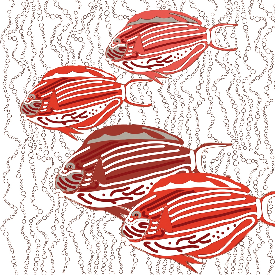 Nu Ocean