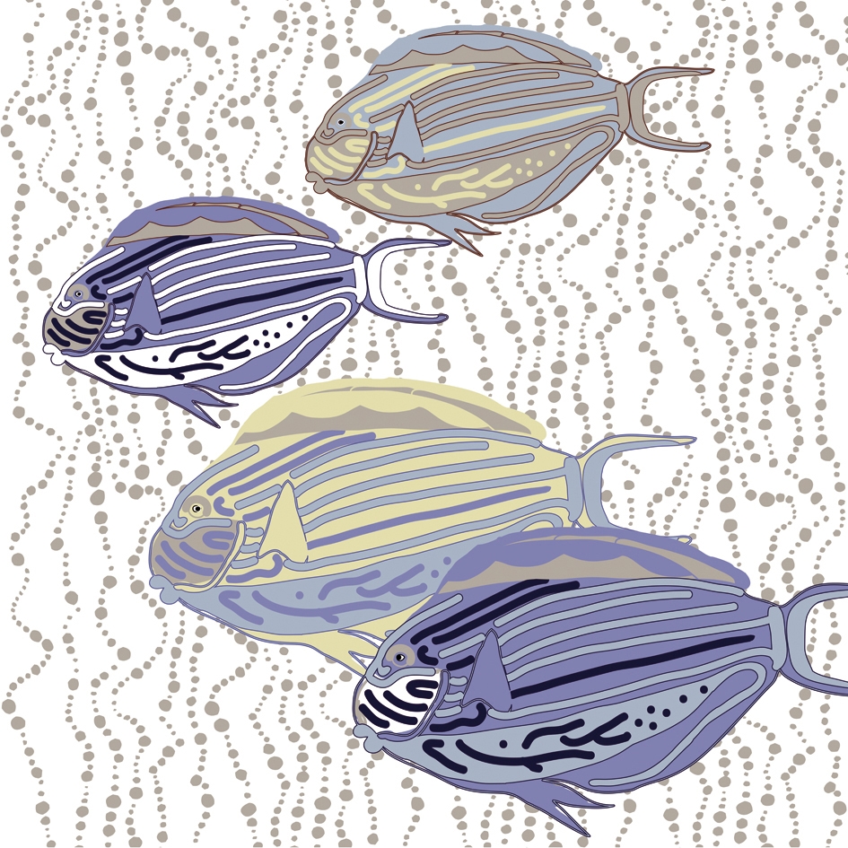 Nu Ocean