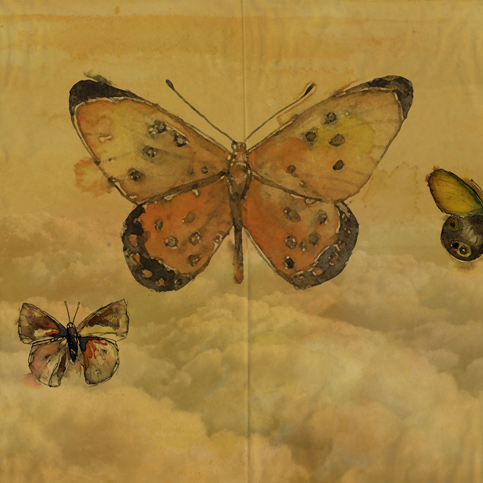 Display product Butterflies from manufacturer Wall&decò