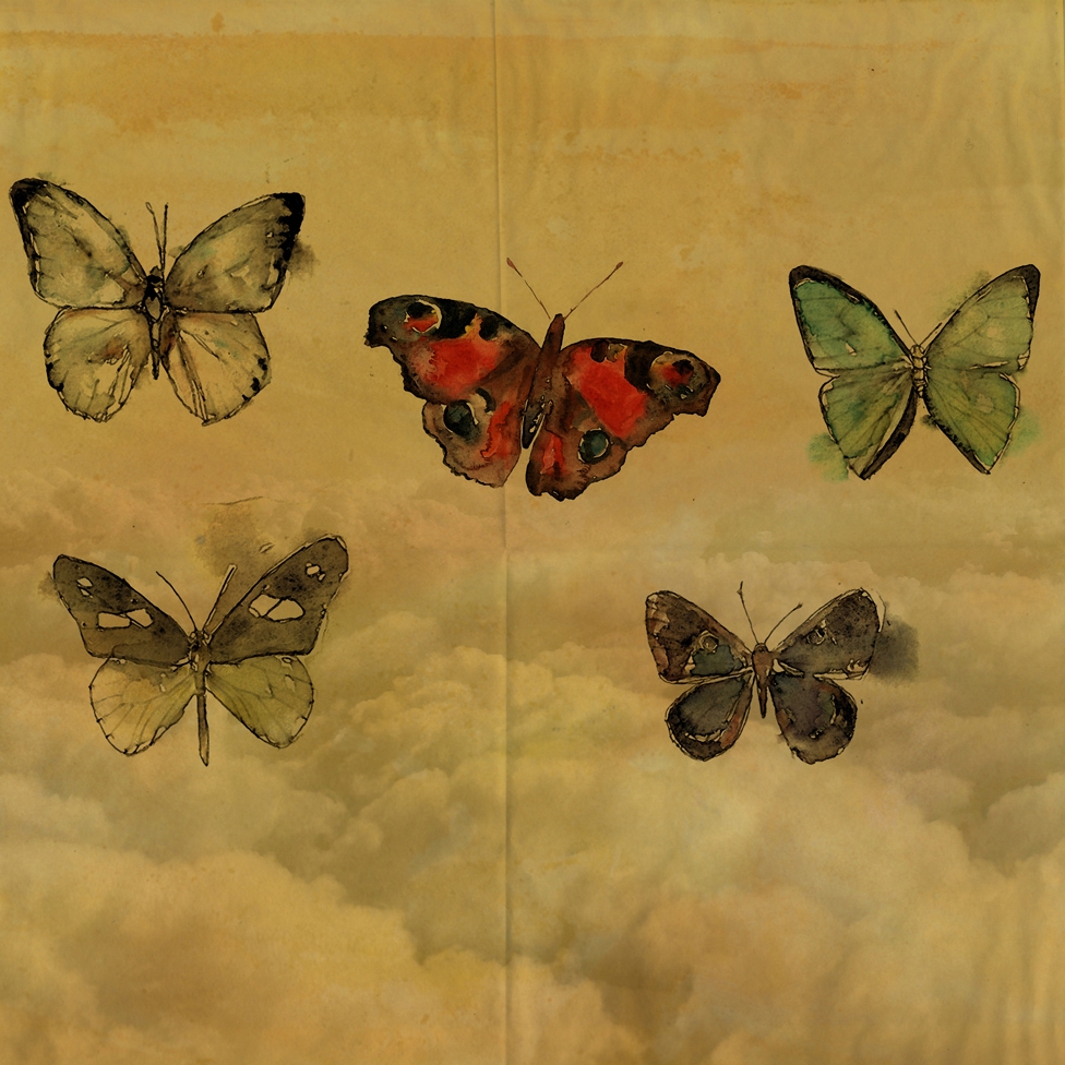 Produkt Butterflies des Herstellers Wall&decò anzeigen