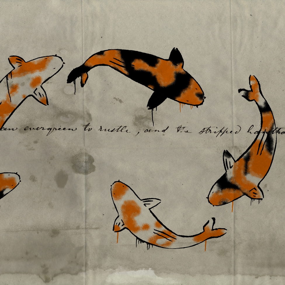 Afficher le produit Carp du fabricant Wall&decò