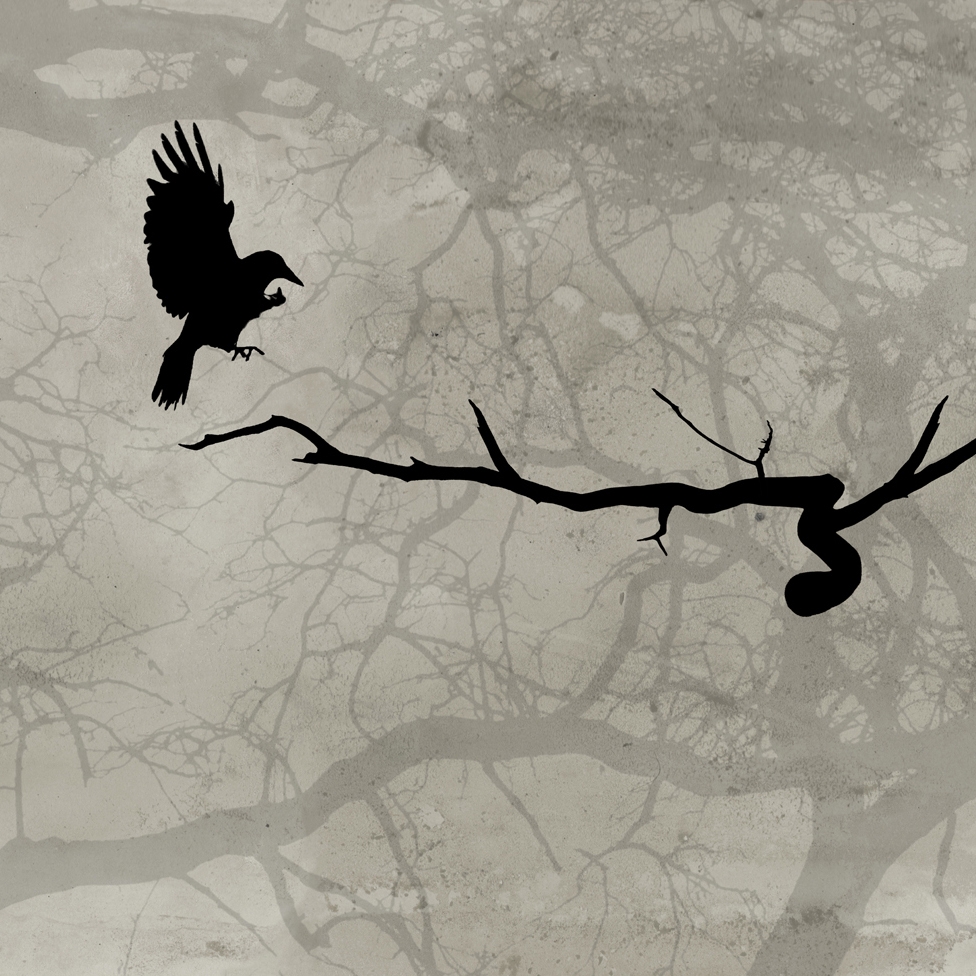 Mostrar el producto Crow del fabricante Wall&decò