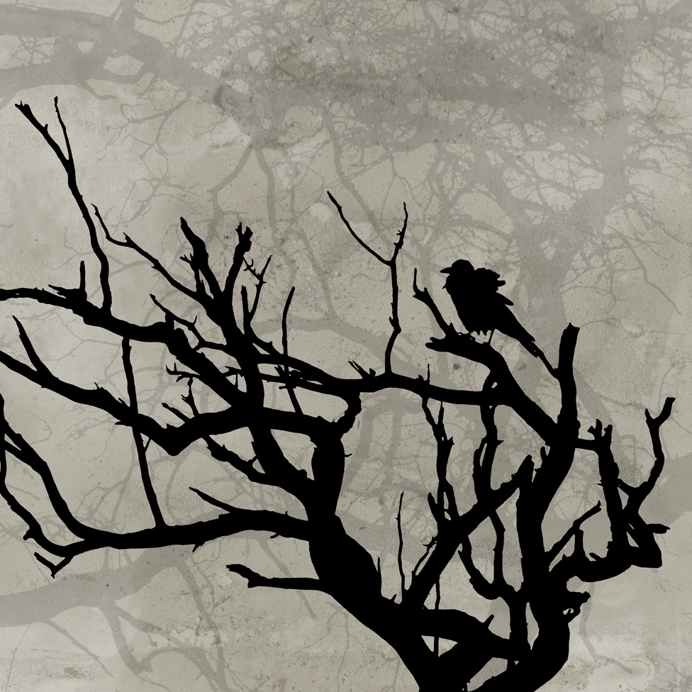 Mostra il prodotto Crow del produttore Wall&decò