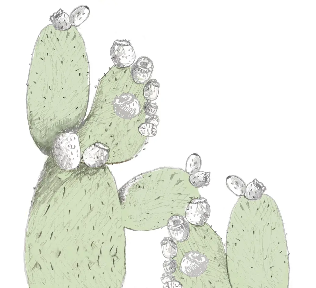 Wall&decò - Cactus Juice