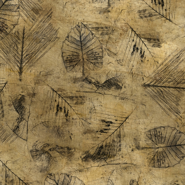 Traces