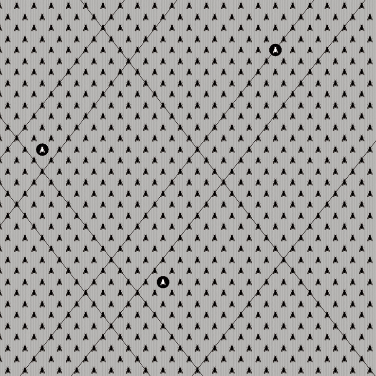 Display product White Fly from manufacturer Wall&decò