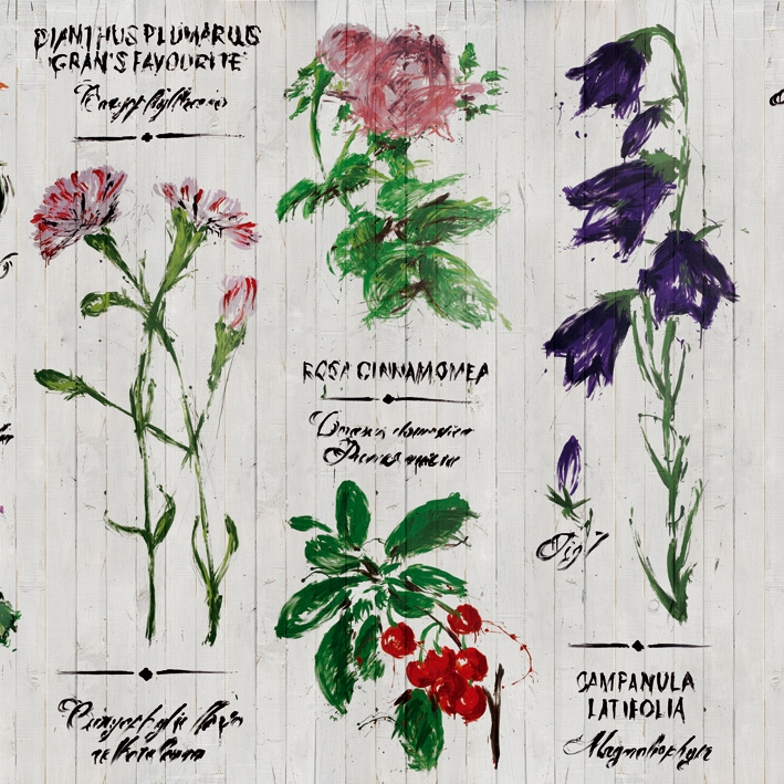 Mostra il prodotto Pianthus del produttore Wall&decò