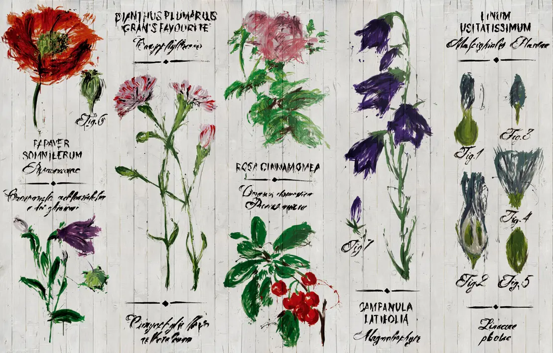Wall&decò - Pianthus