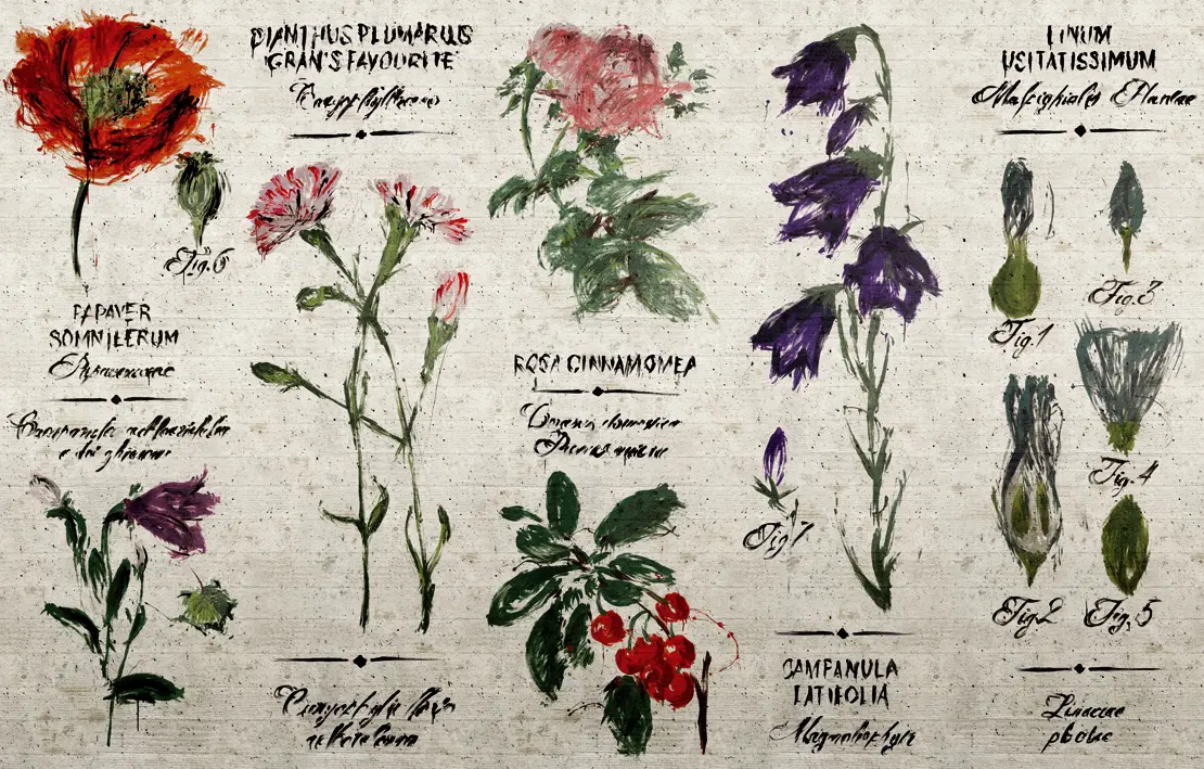 Wall&decò - Pianthus
