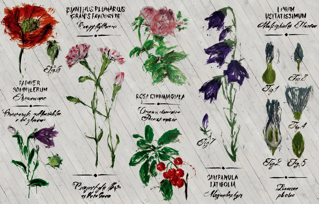 Wall&decò - Pianthus