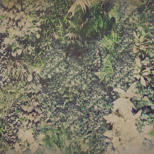 Afficher le produit Vertical Green du fabricant Wall&decò