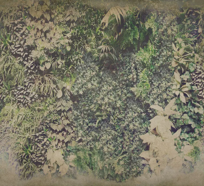 Wall&decò - Vertical Green
