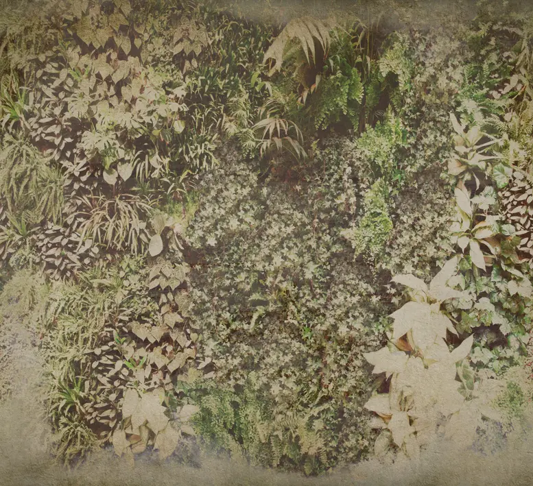 Wall&decò - Vertical Green