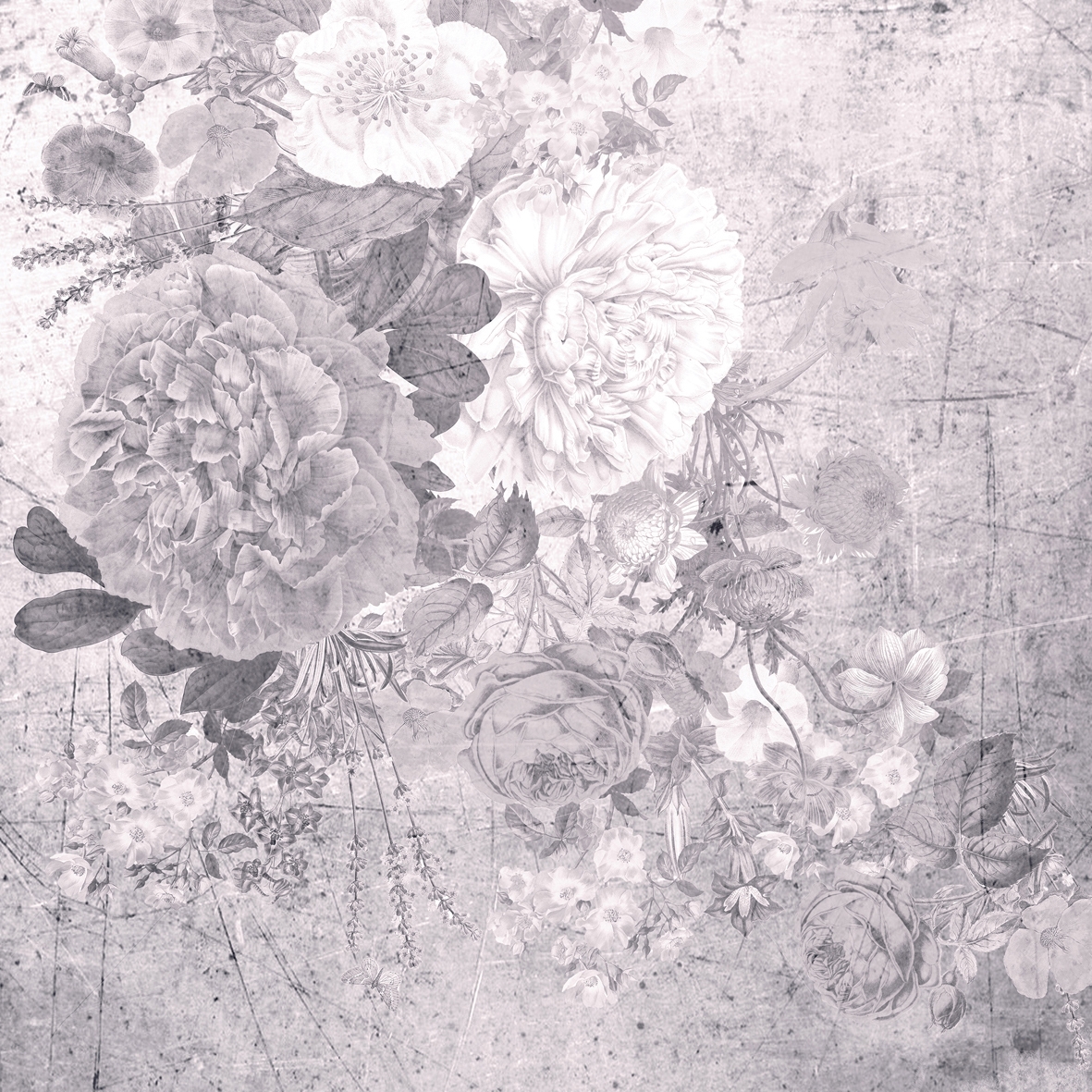 Display product Aloha from manufacturer Wall&decò