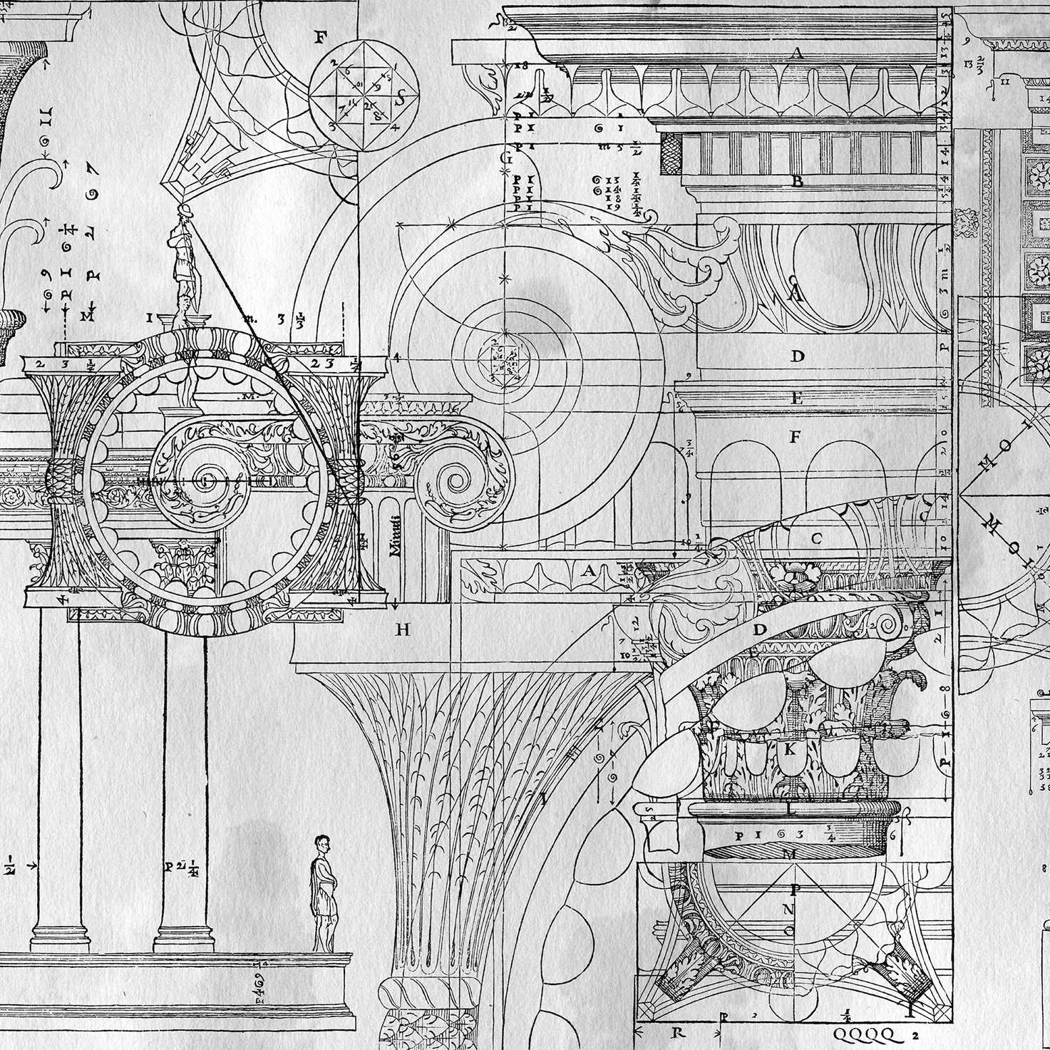 Mostra il prodotto Antiqua del produttore Wall&decò