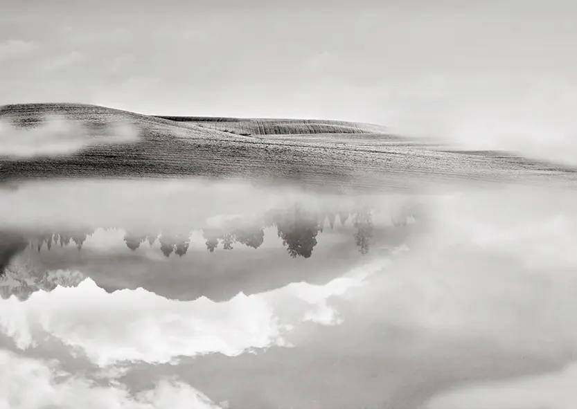 Wall&decò - Cloud Brush