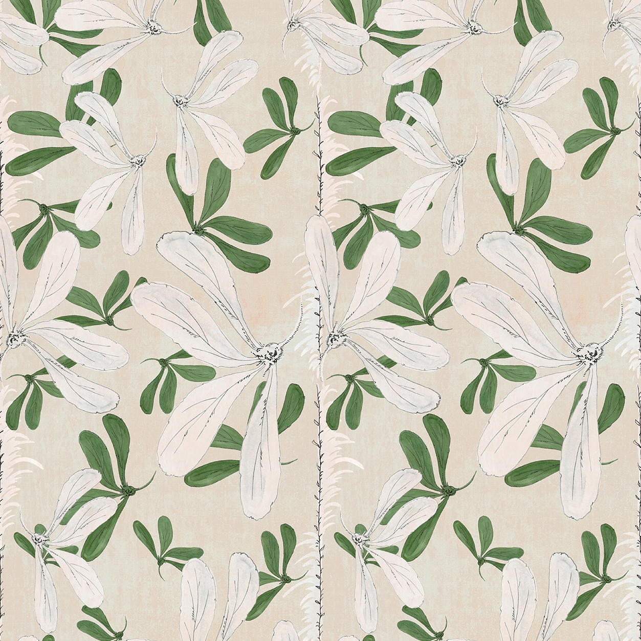Fleur Des Amériques
