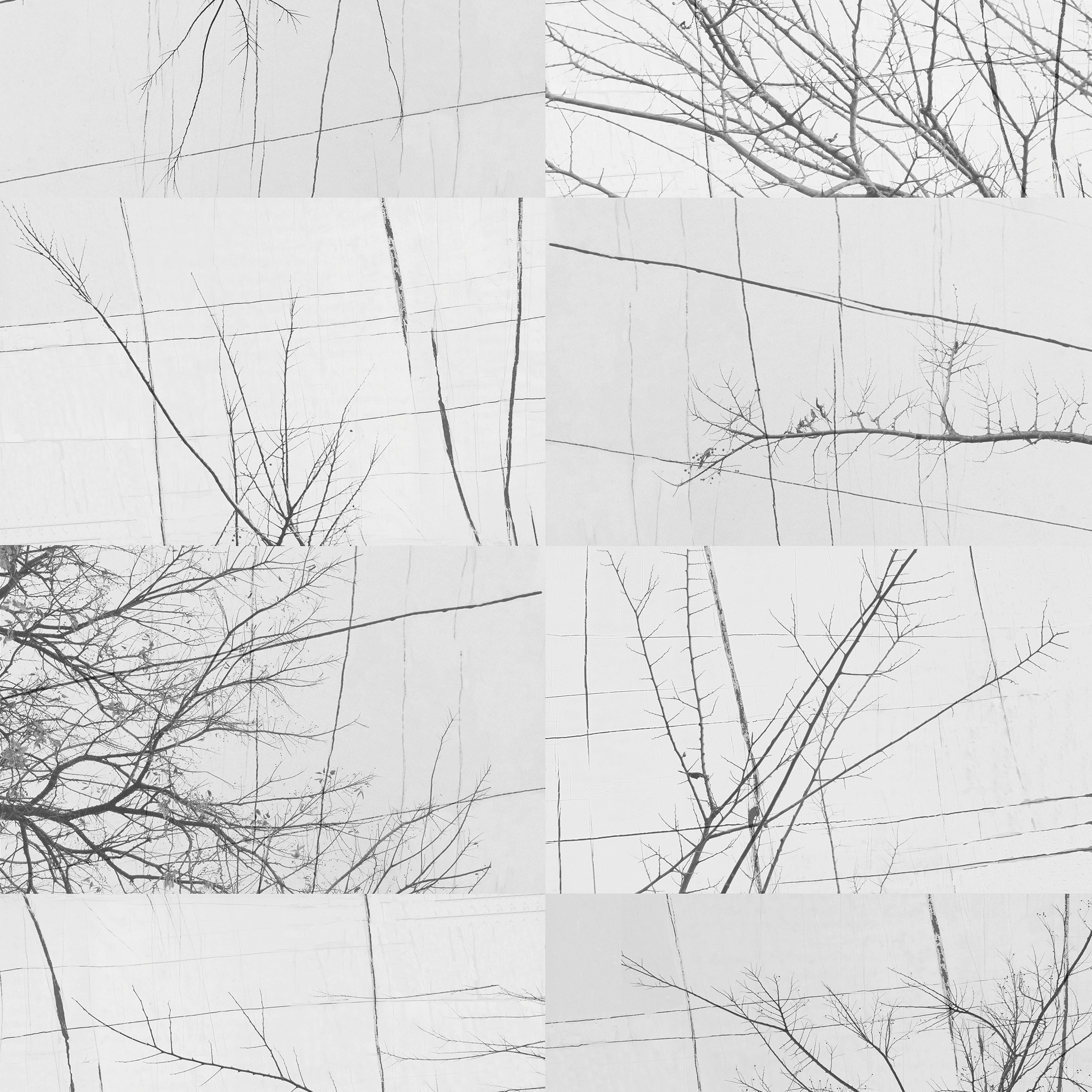 Bois D'Hiver