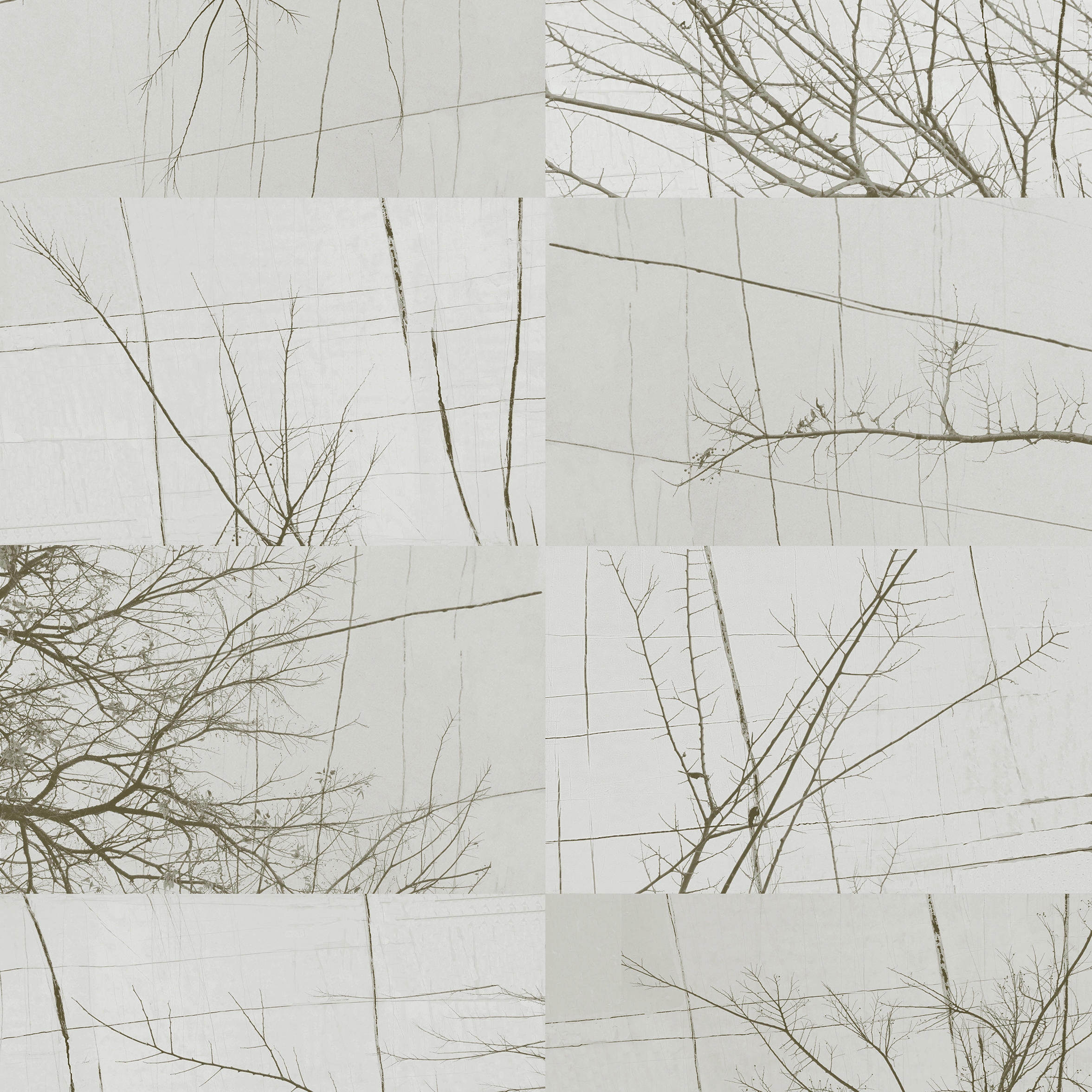 Bois D'Hiver