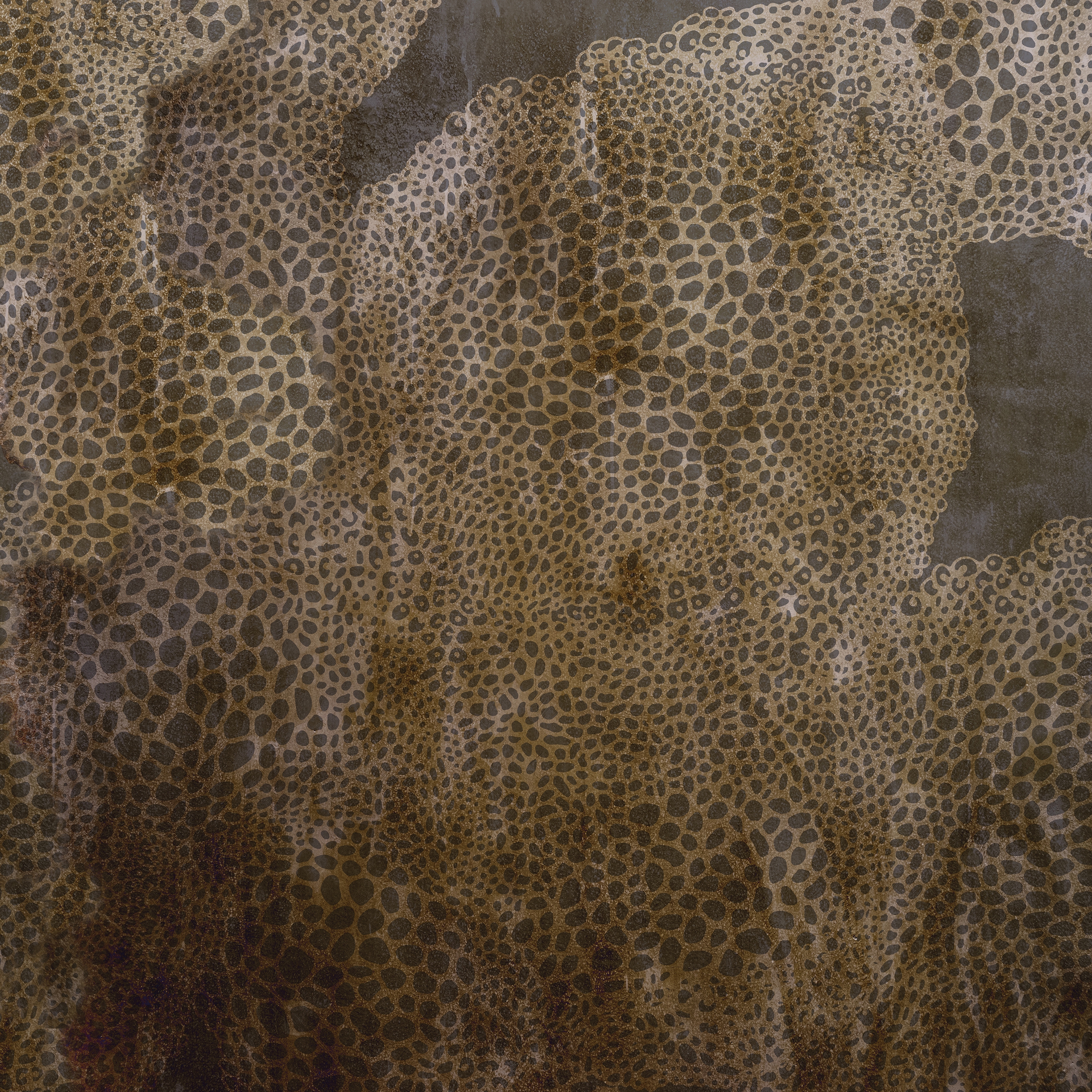 Mostrar el producto Cheetah del fabricante Wall&decò
