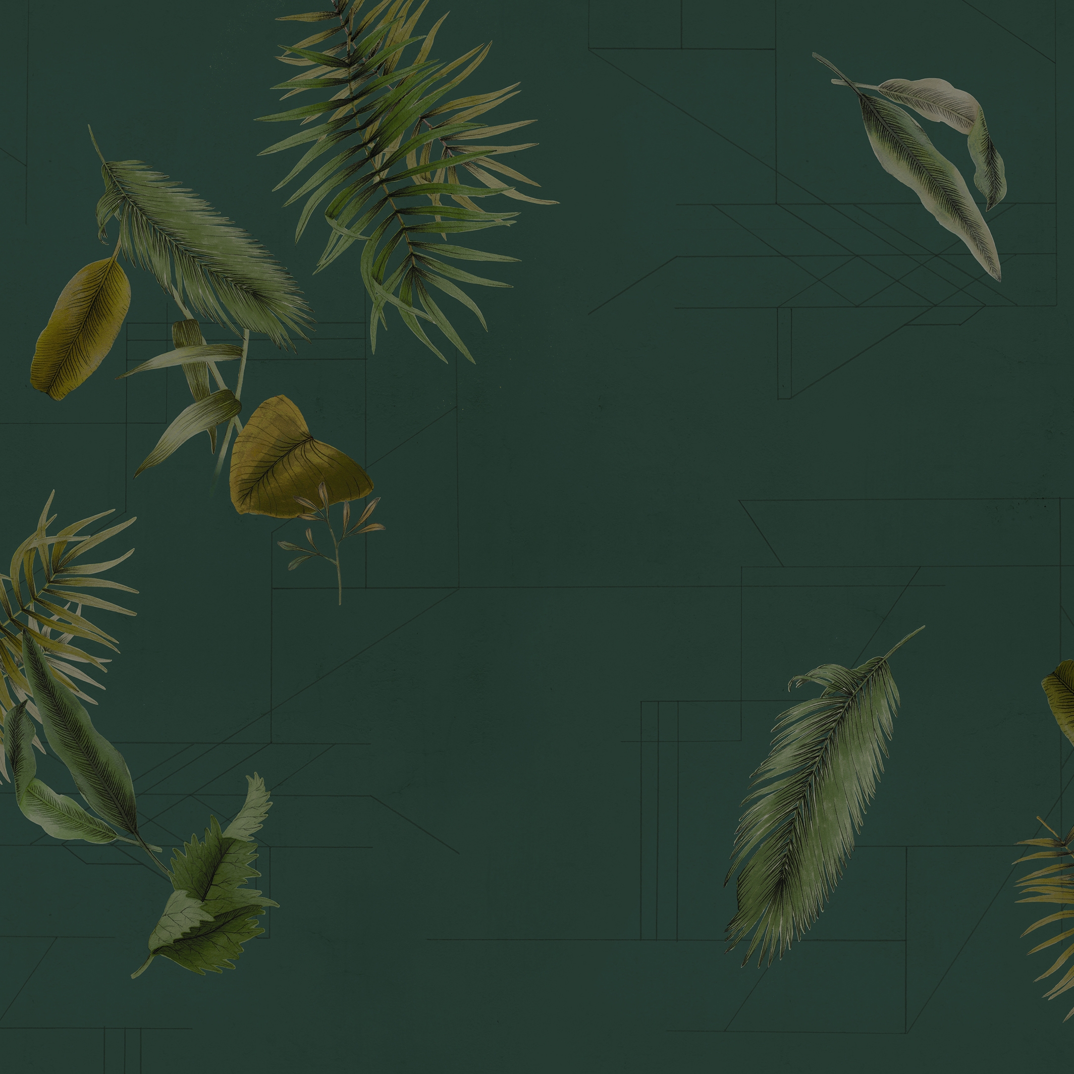 Phytogenesis