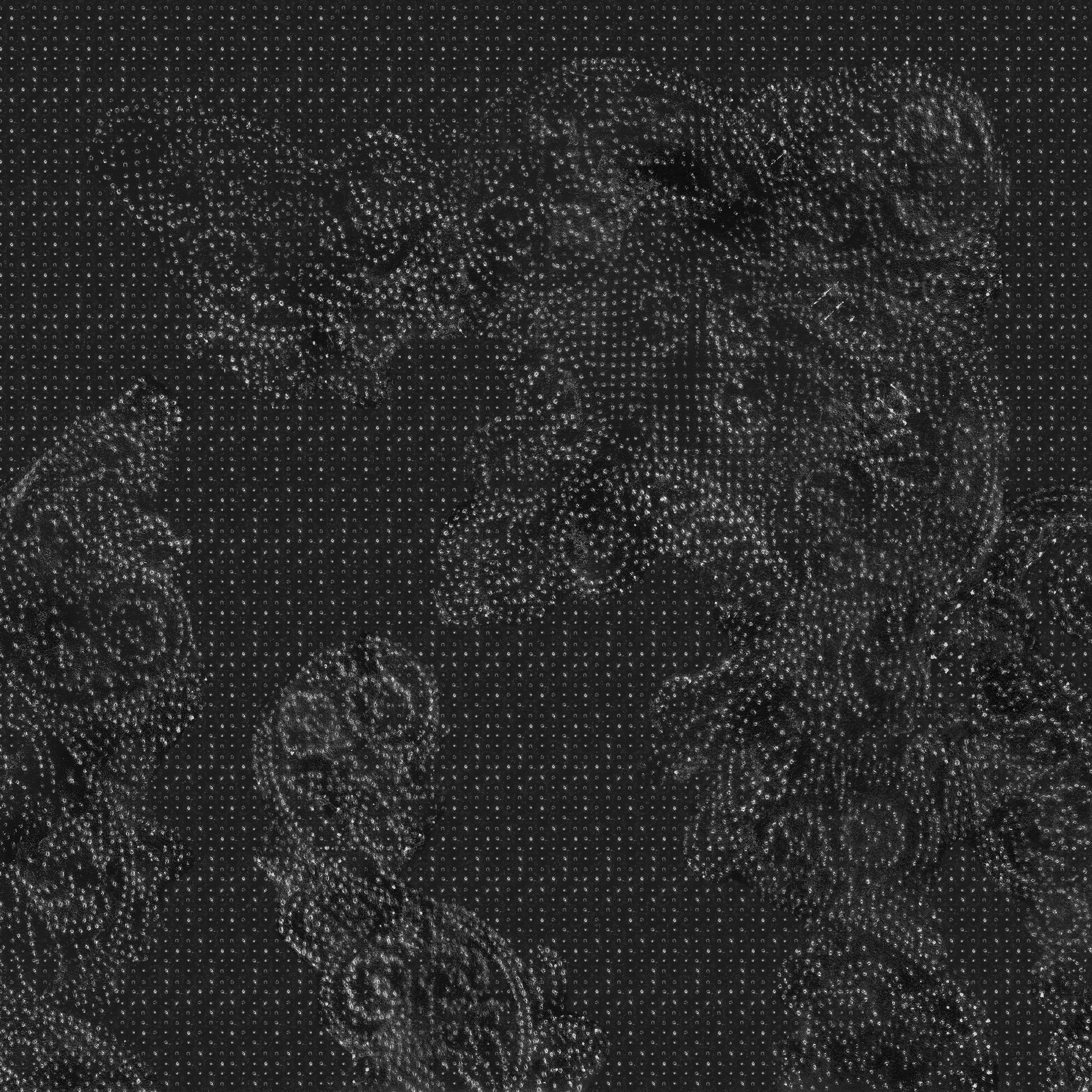 Display product Spolvero from manufacturer Wall&decò