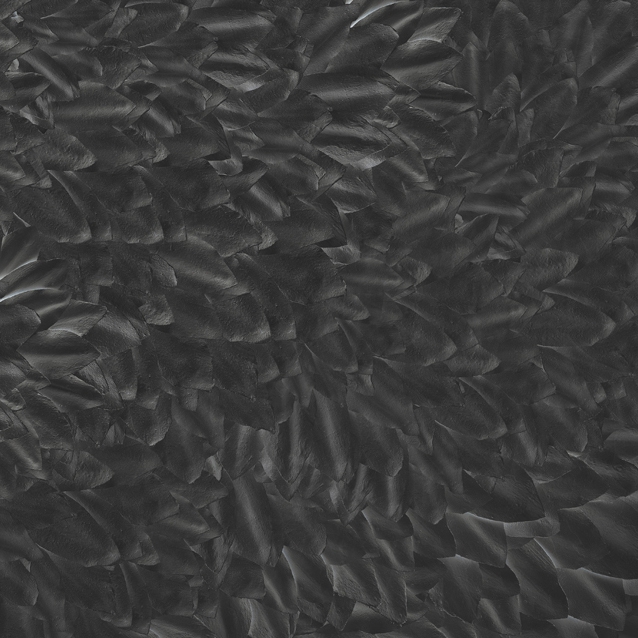 Display product The Dark Side from manufacturer Wall&decò