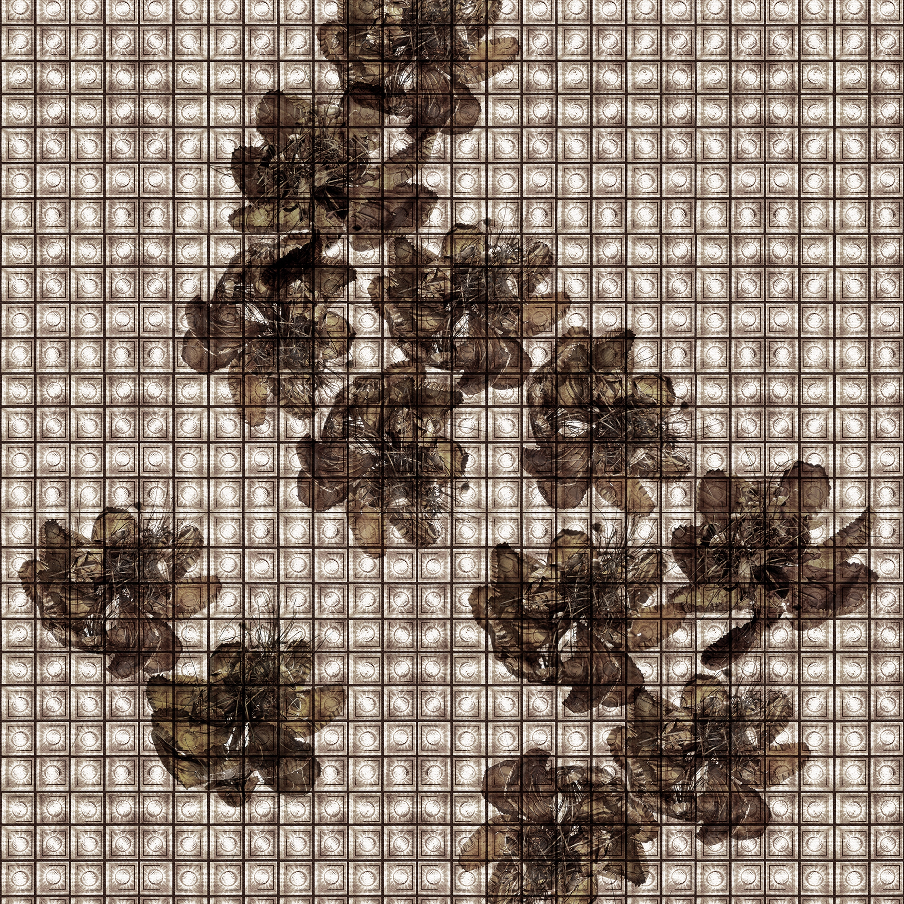 Mostra il prodotto Akos del produttore Wall&decò