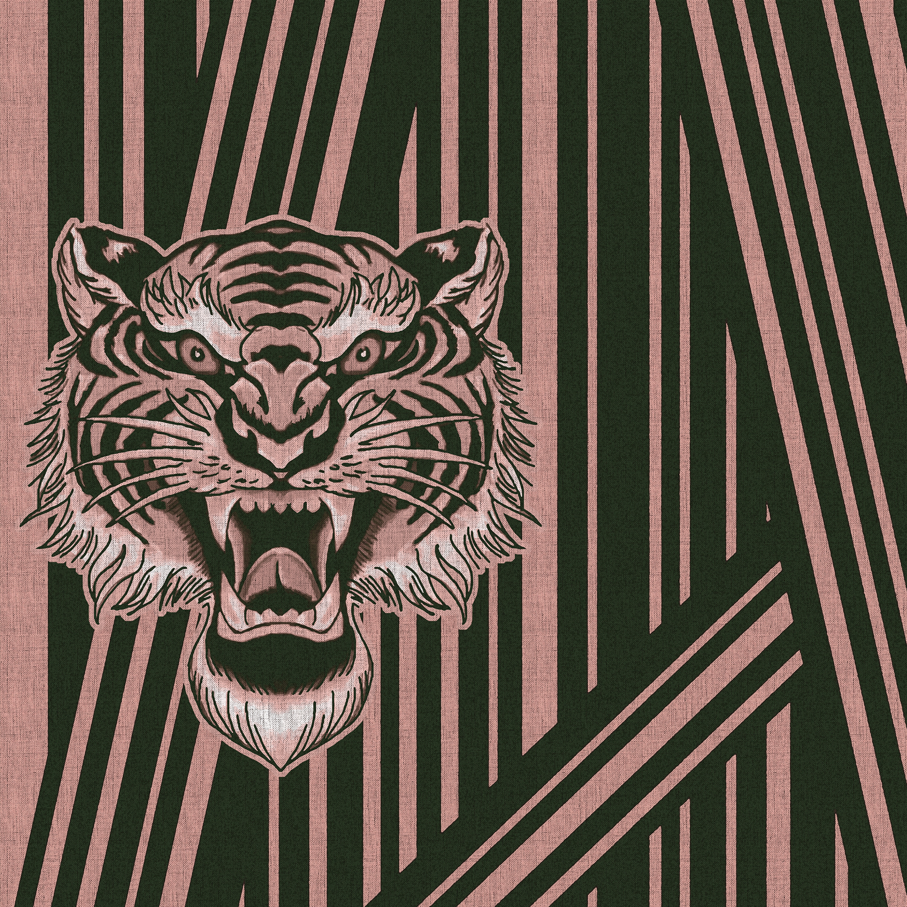 Fade Out Lines