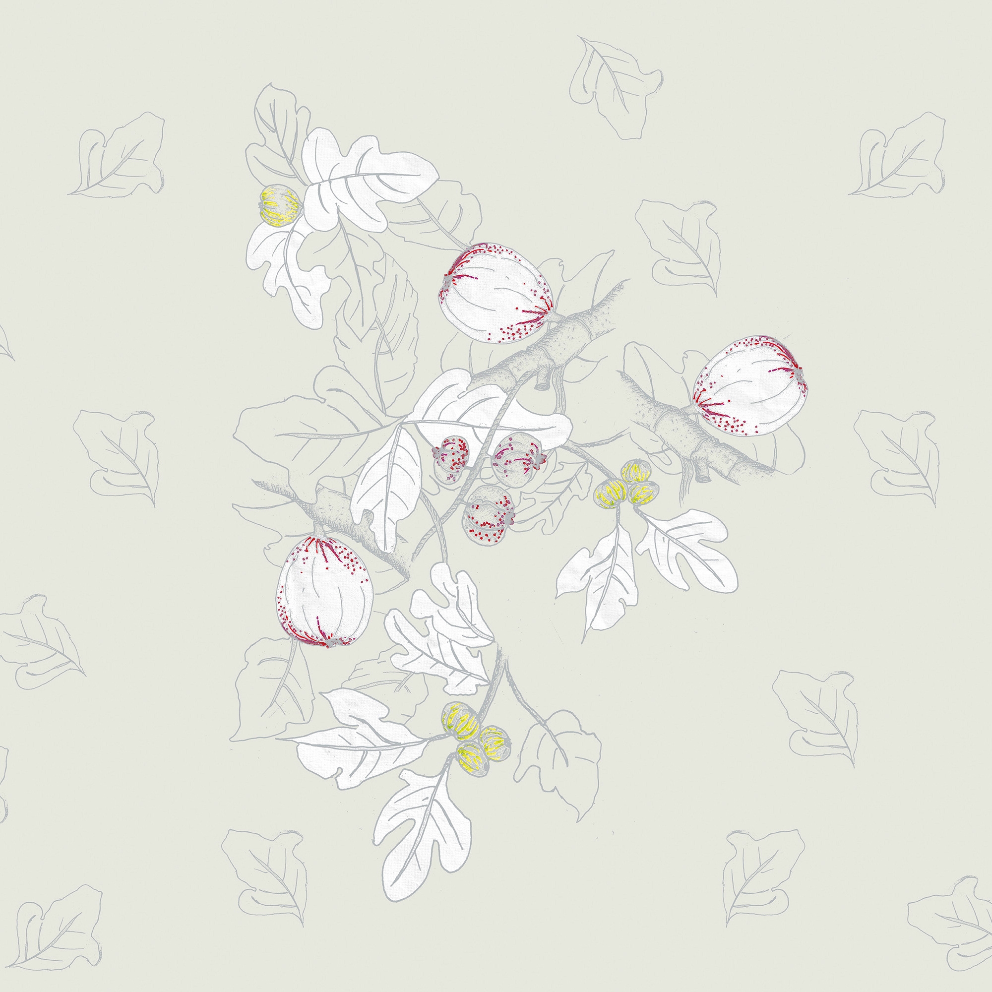 Platone