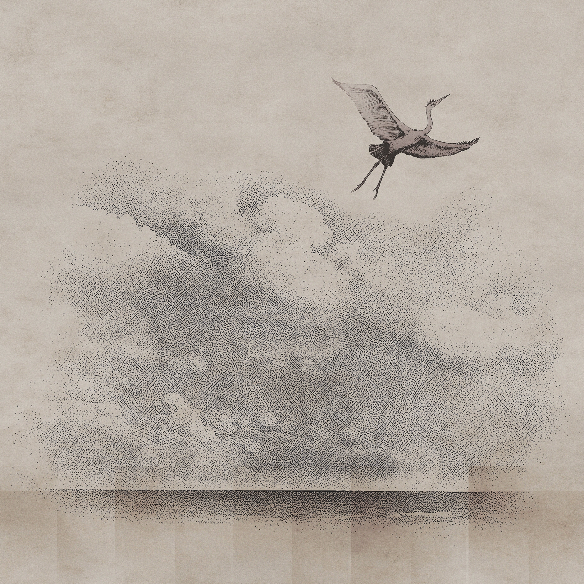 Learn To Fly