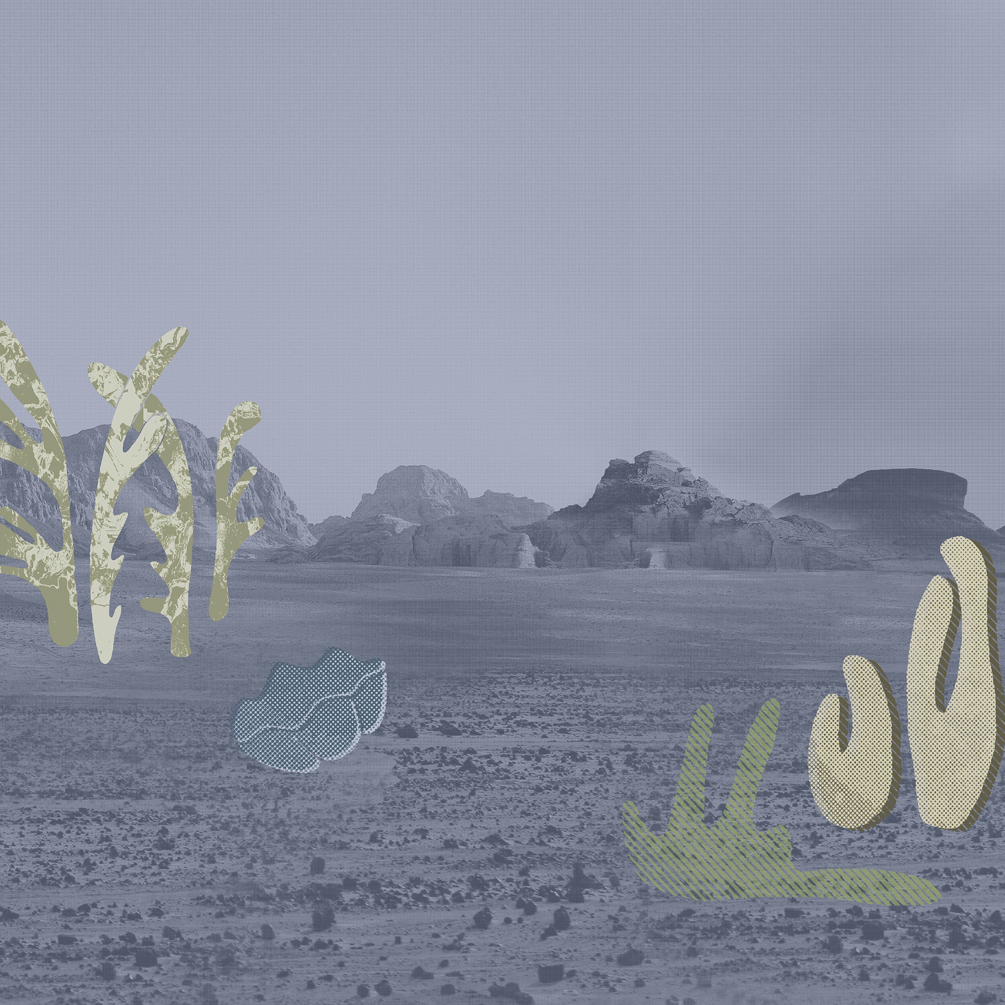 Desert Botanica