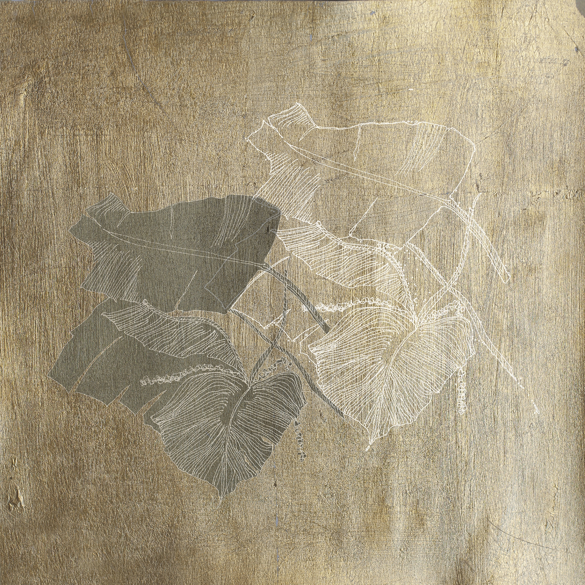 Produkt Biophilia des Herstellers Wall&decò anzeigen