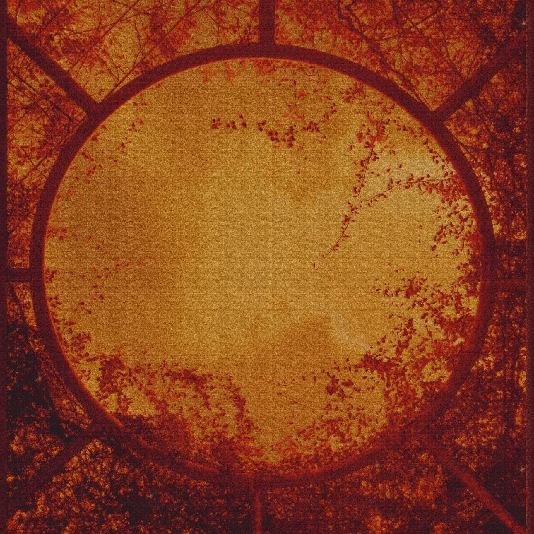 Produkt Ruby Tuesday des Herstellers Wall&decò anzeigen