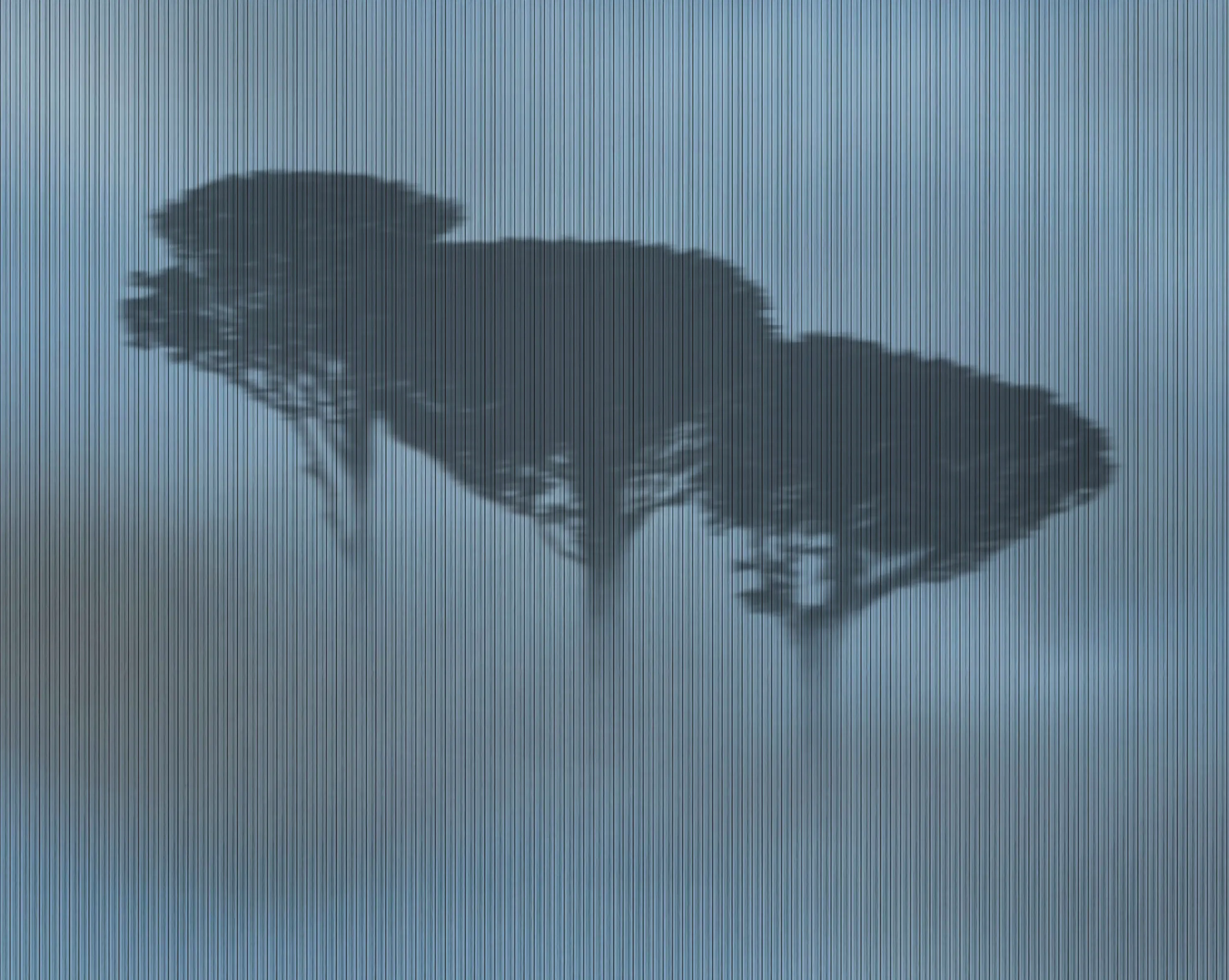 Wall&decò - Blurry