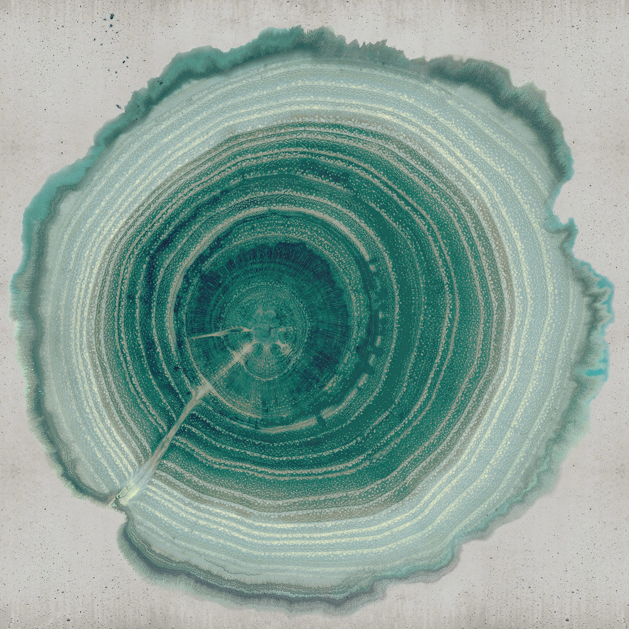 Produkt Tree Of Life des Herstellers Wall&decò anzeigen