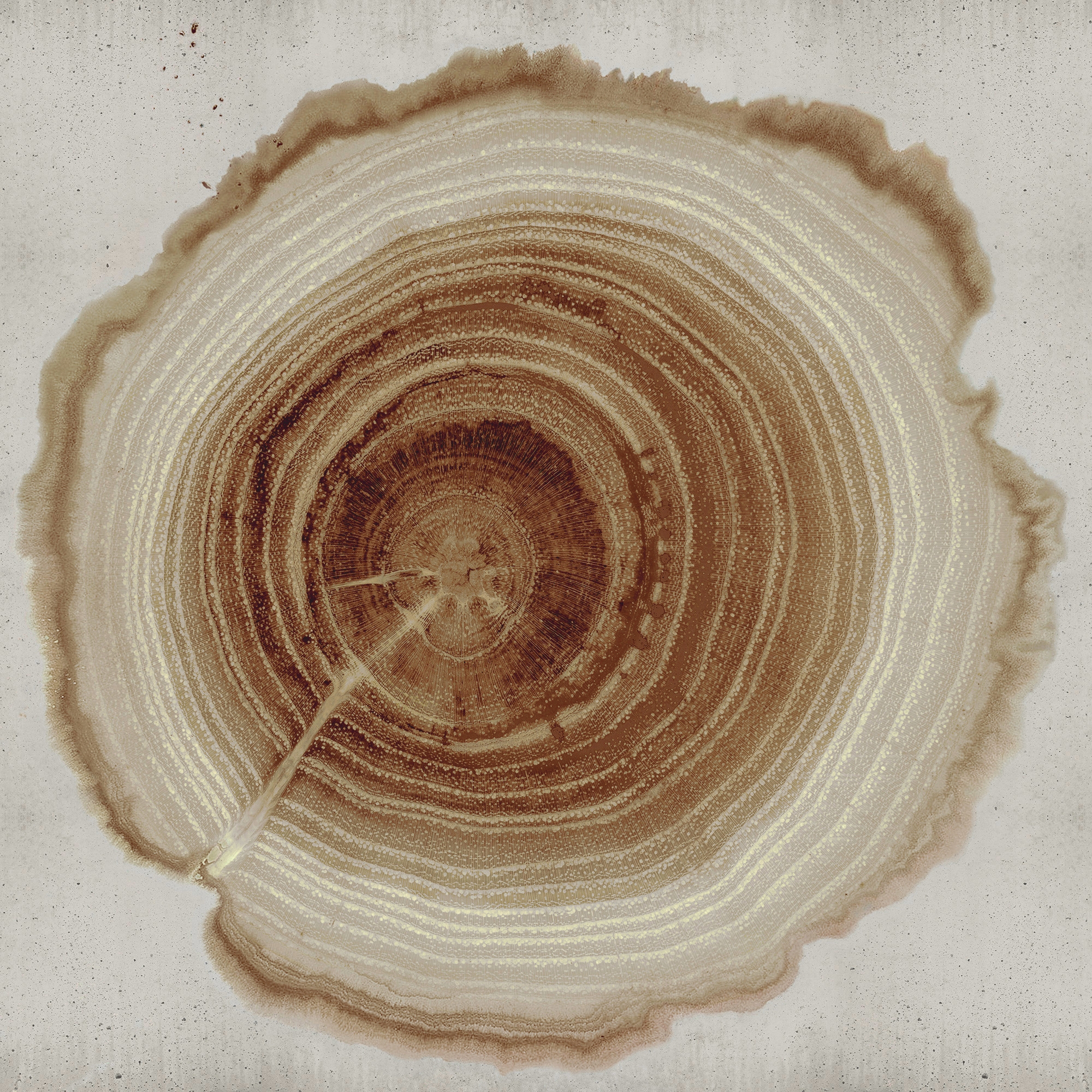 Tree Of Life