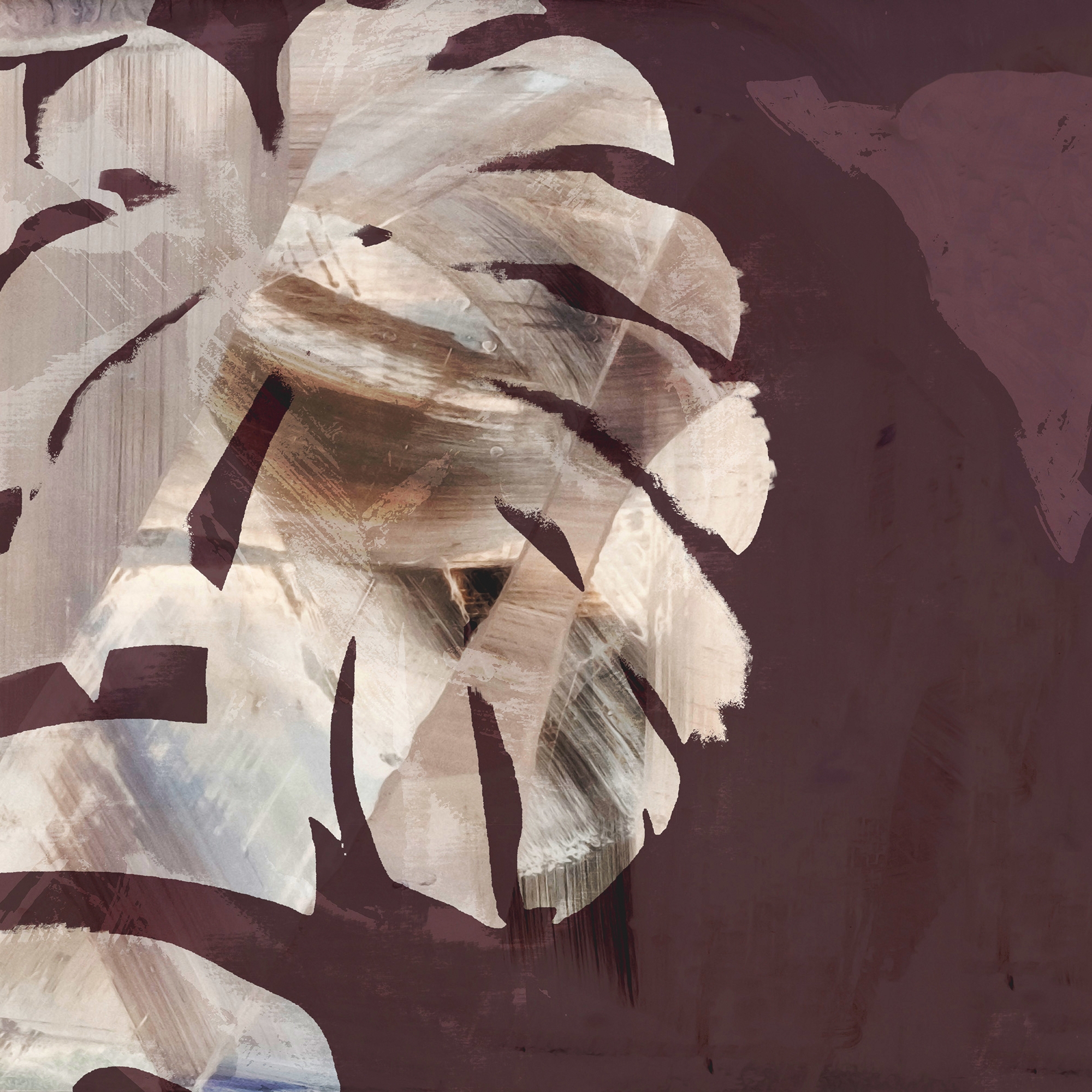 Monstera