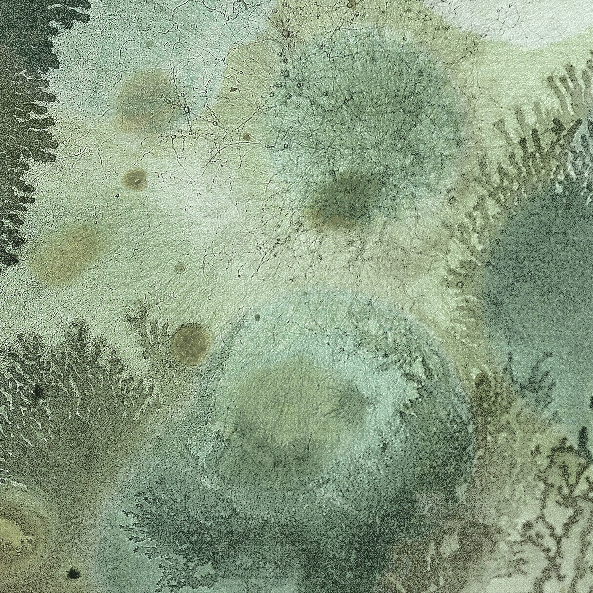 Mufarina