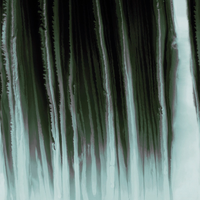 Fluid