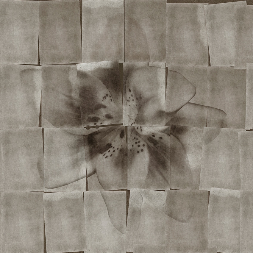 Display product S'il vous plait from manufacturer Wall&decò